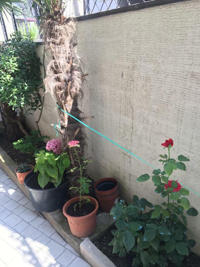10 B Shindisi Street,tbilisi