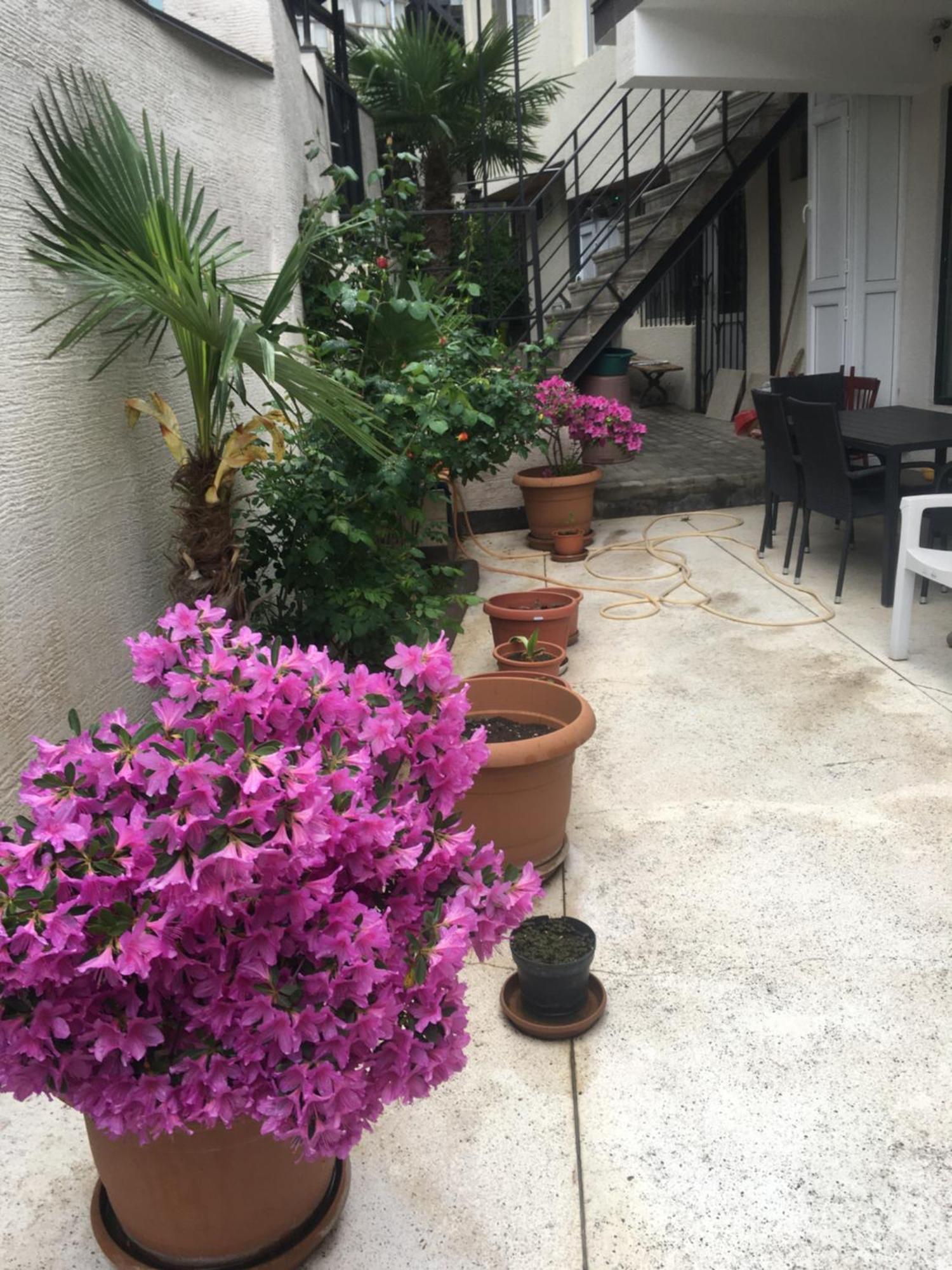 10 B Shindisi Street,tbilisi